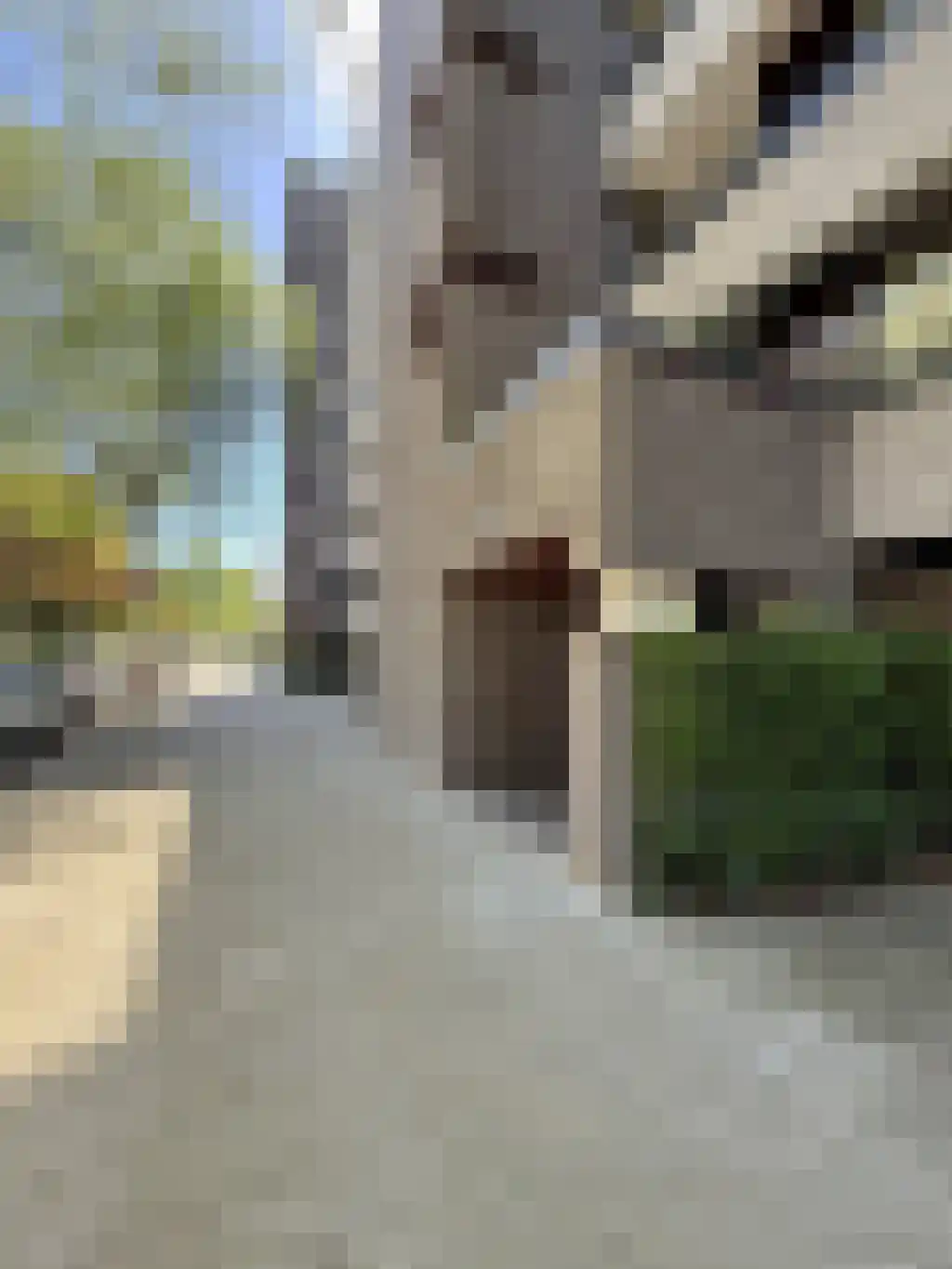 Amundsenlaan 193 Eindhoven thumbnail 4