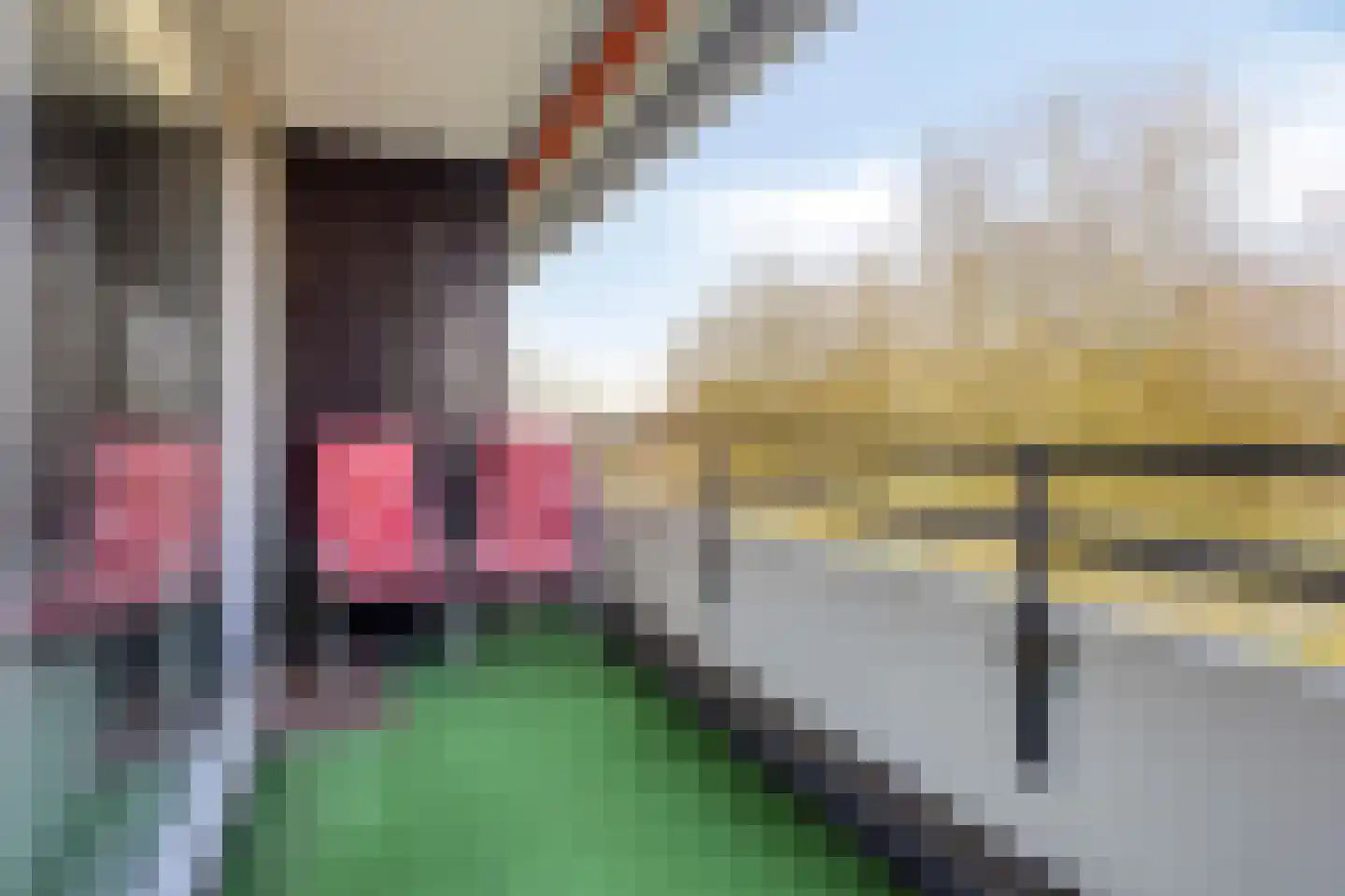 Amundsenlaan 199 Eindhoven thumbnail 19