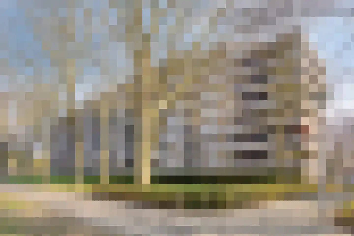 Amundsenlaan 199 Eindhoven thumbnail 4