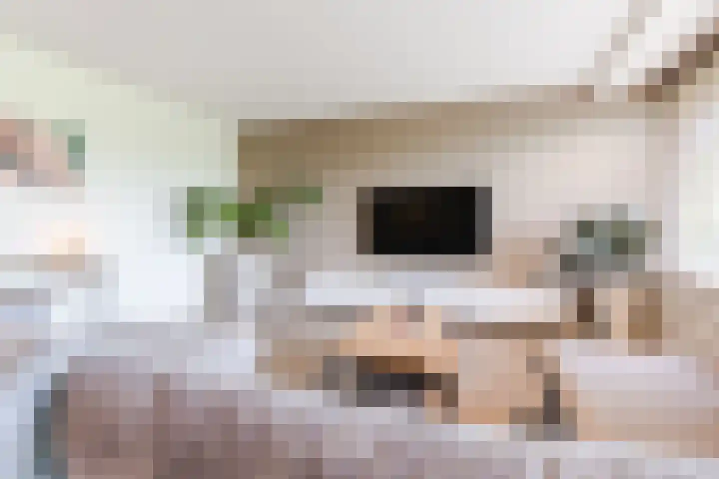 Amundsenlaan 201 Eindhoven thumbnail 12
