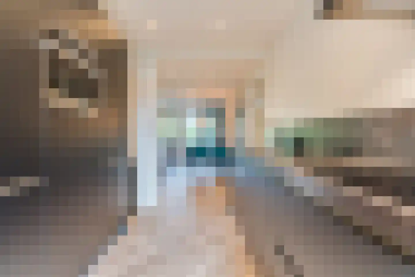 Amundsenlaan 201 Eindhoven thumbnail 19
