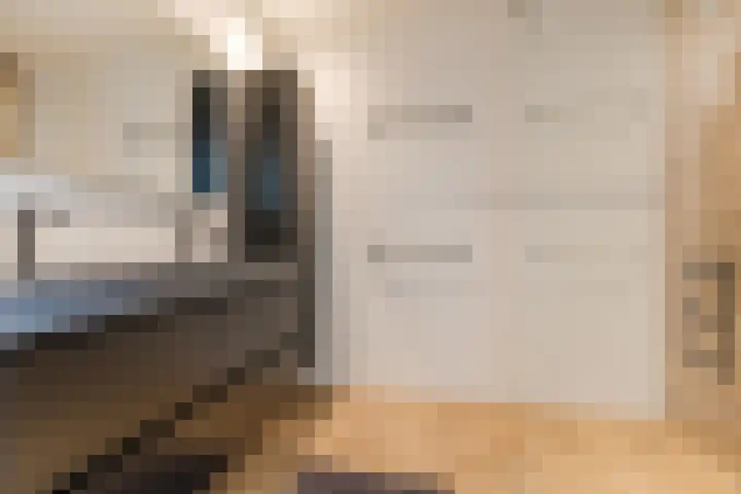 Amundsenlaan 201 Eindhoven thumbnail 28