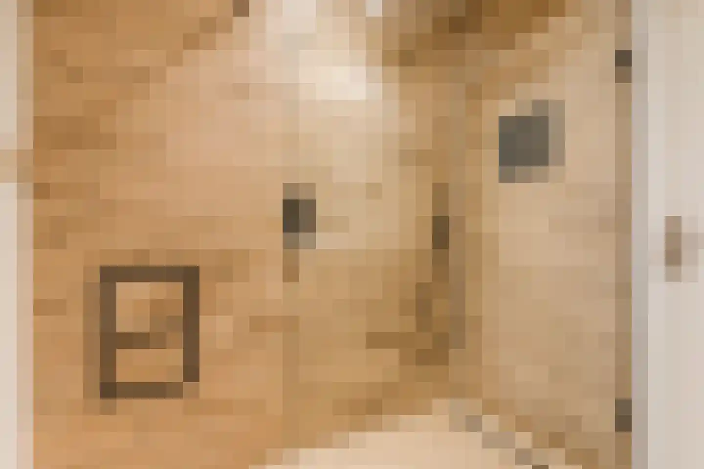 Amundsenlaan 201 Eindhoven thumbnail 29