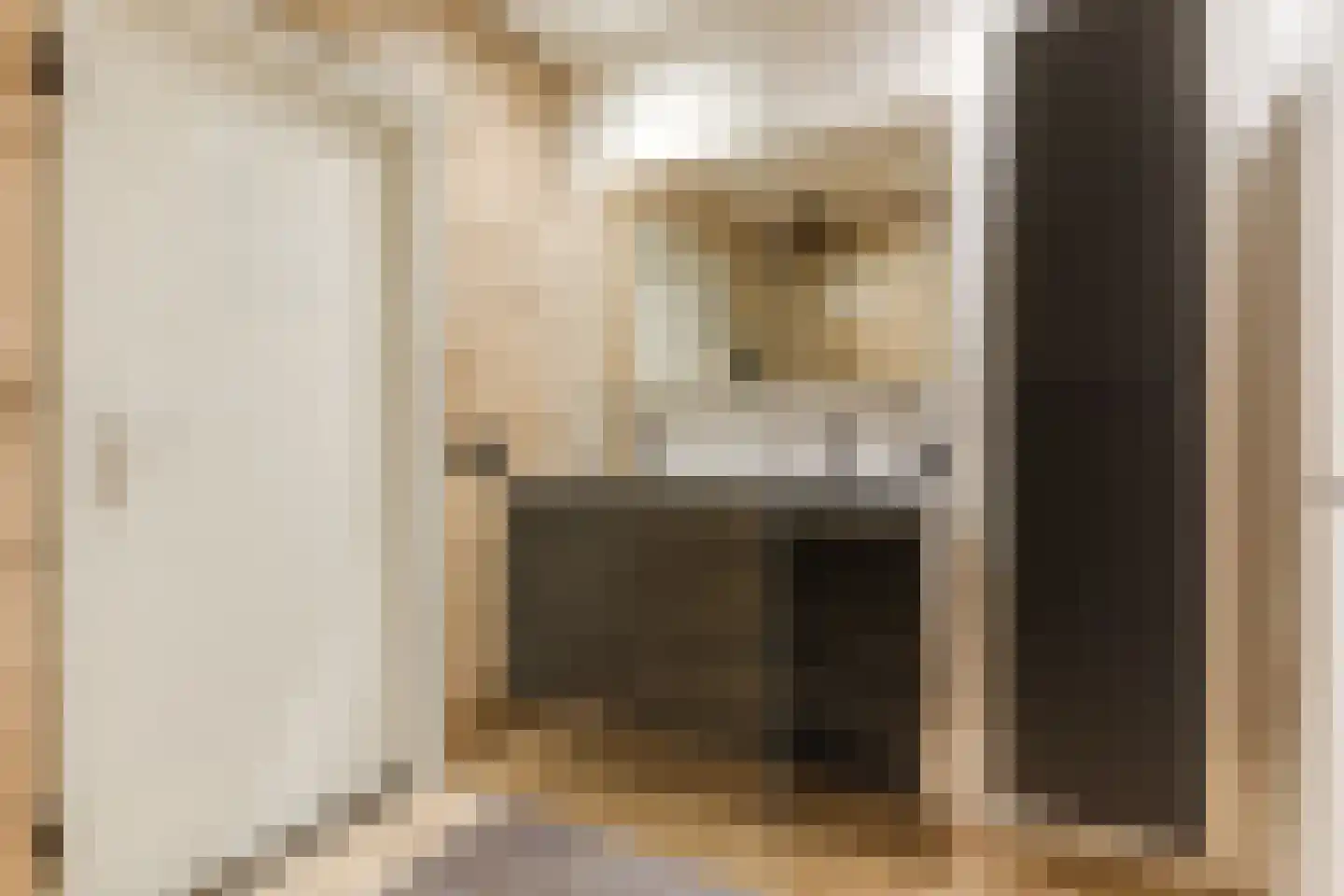 Amundsenlaan 201 Eindhoven thumbnail 30