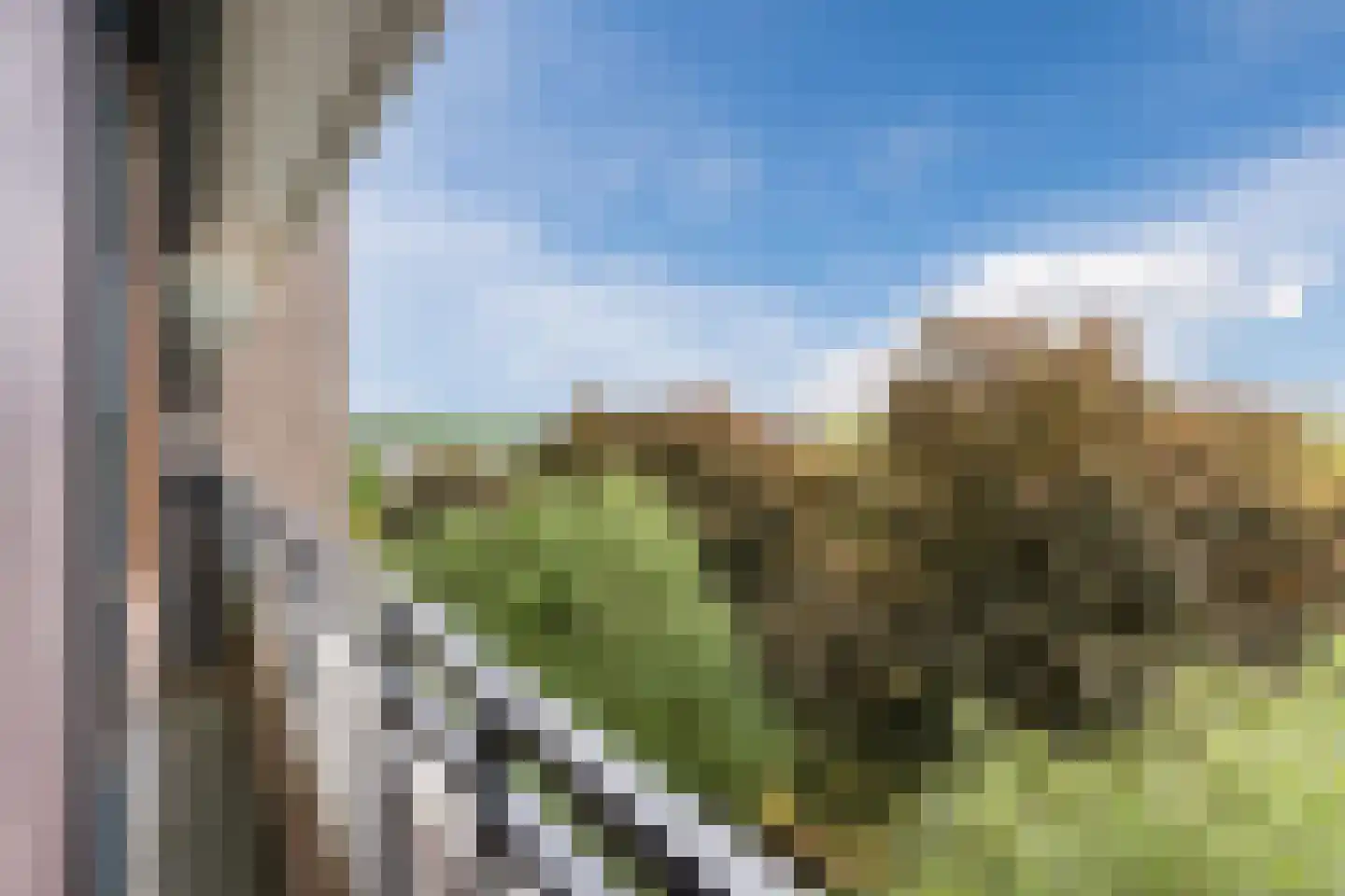 Amundsenlaan 201 Eindhoven thumbnail 37