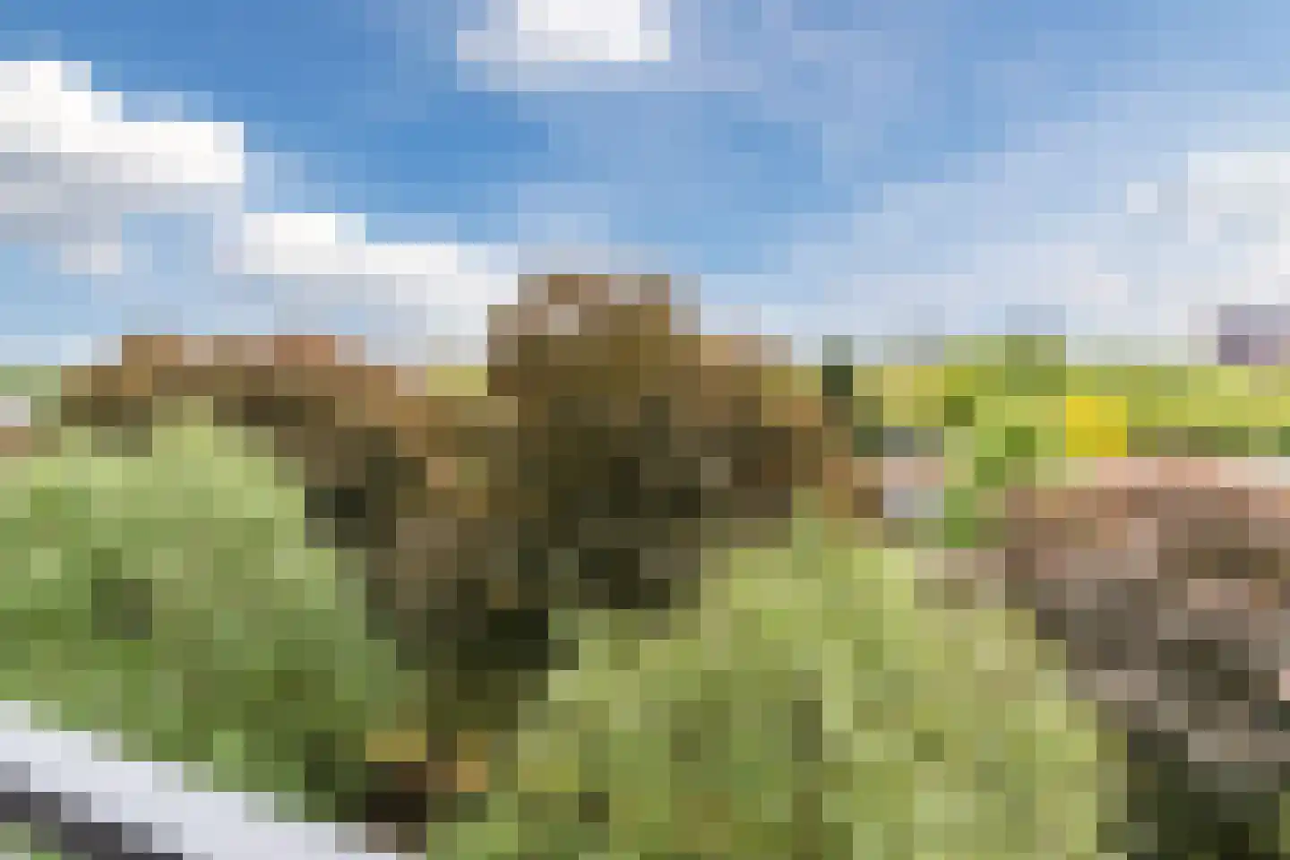 Amundsenlaan 201 Eindhoven thumbnail 38