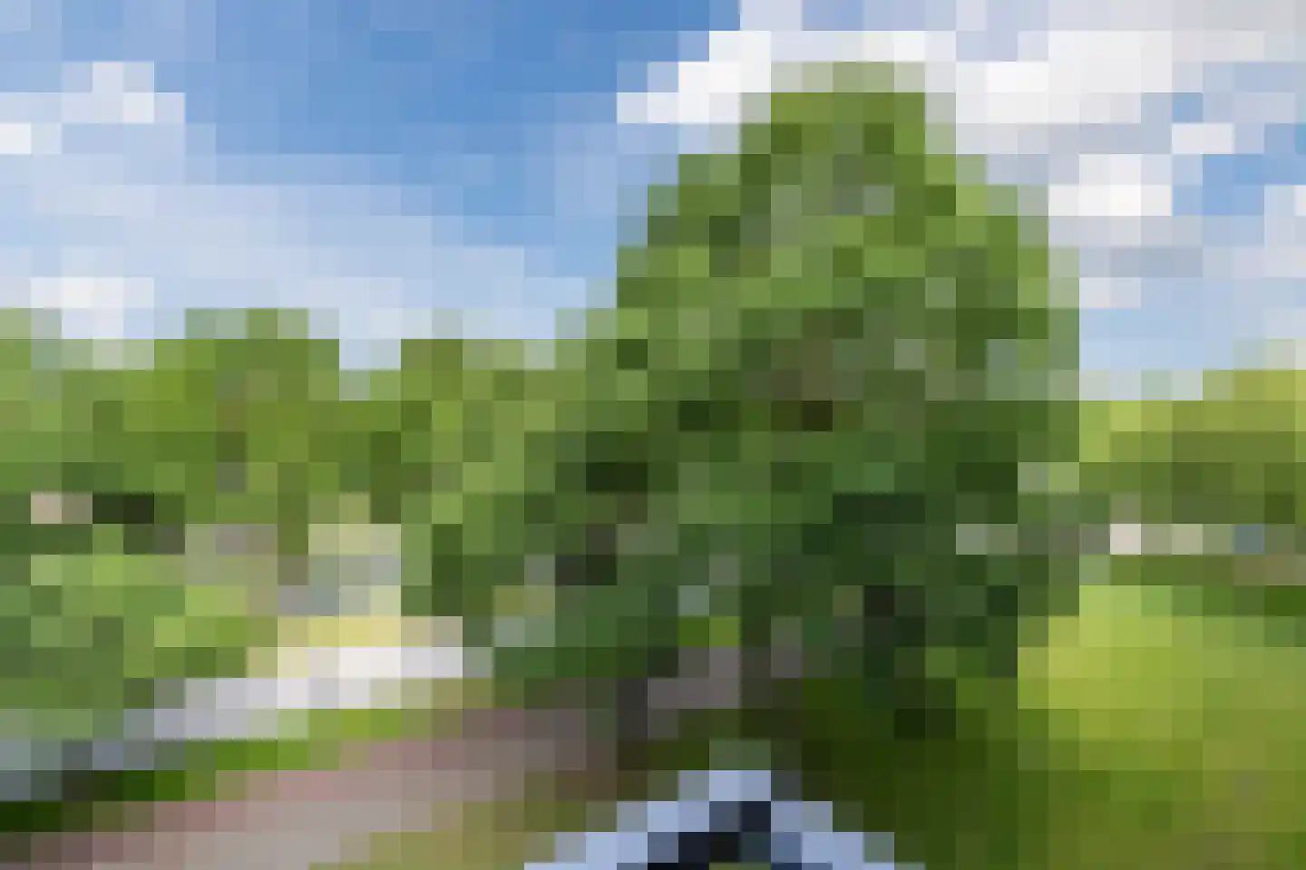 Amundsenlaan 201 Eindhoven thumbnail 39