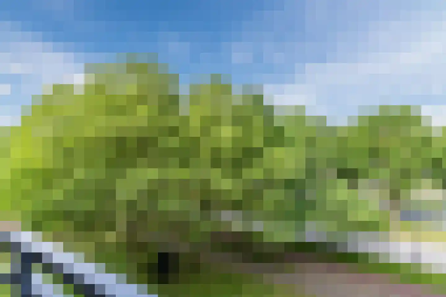 Amundsenlaan 201 Eindhoven thumbnail 40