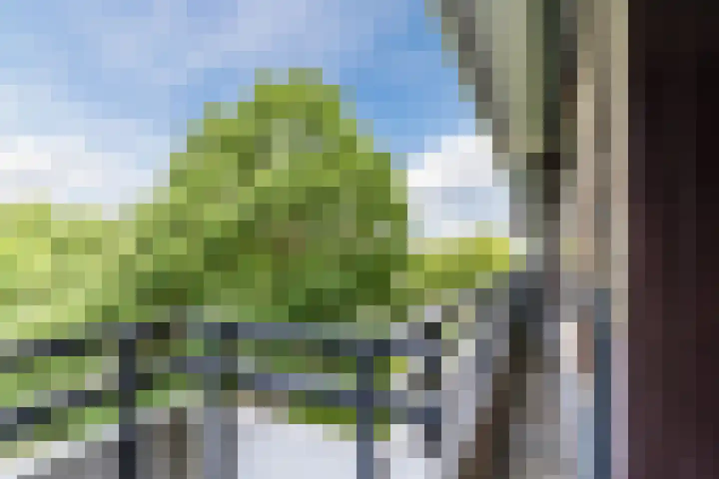 Amundsenlaan 201 Eindhoven thumbnail 41