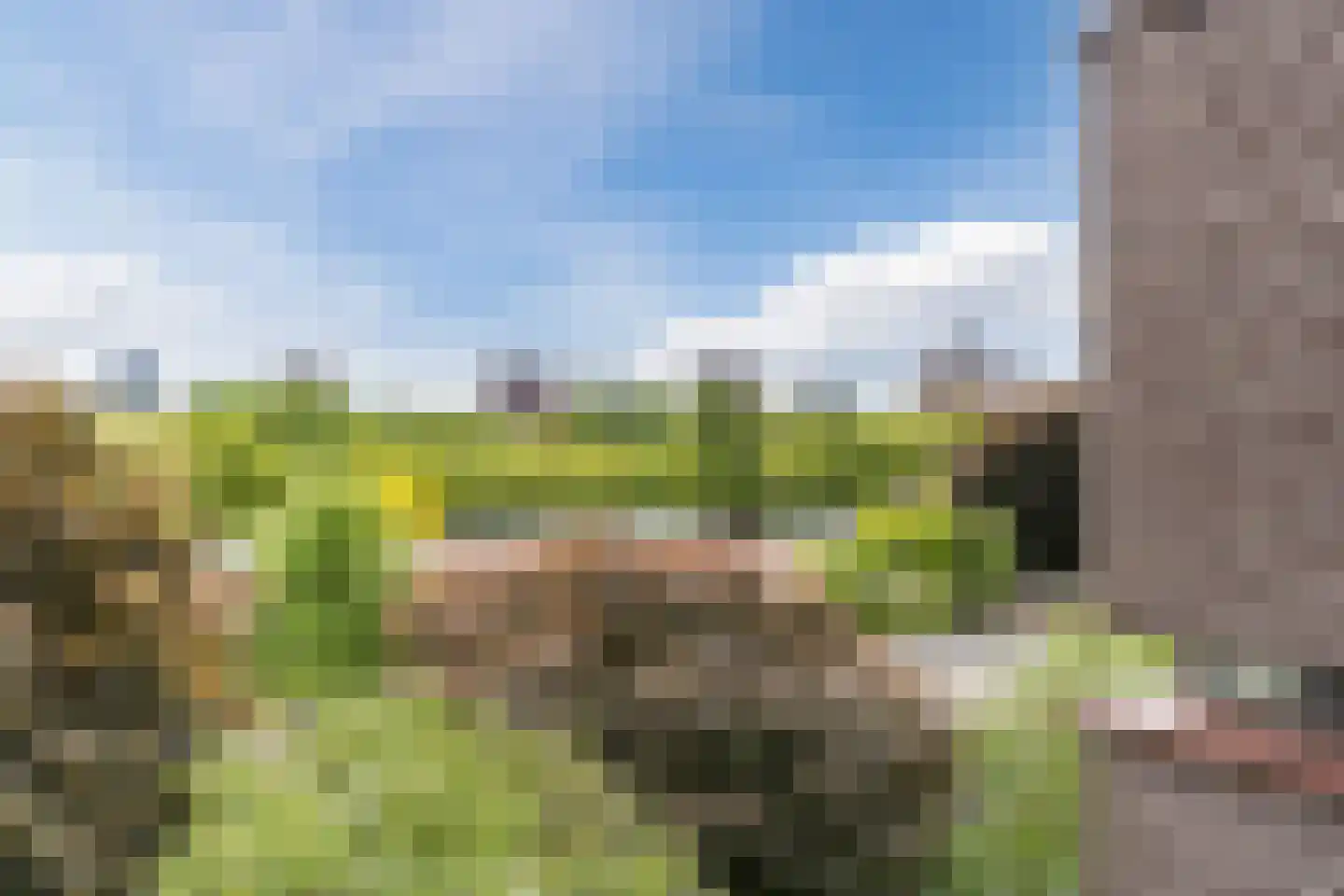 Amundsenlaan 201 Eindhoven thumbnail 42
