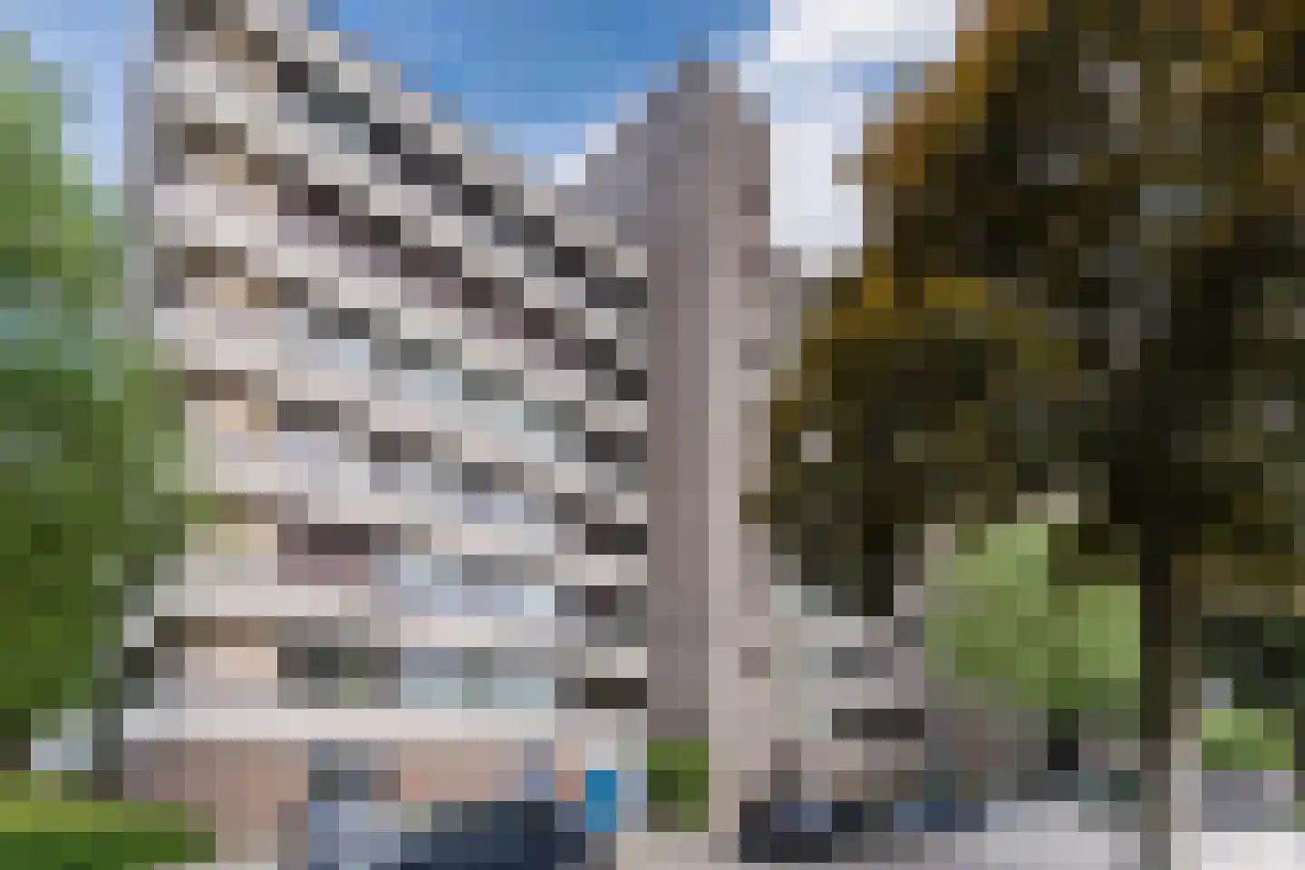 Amundsenlaan 201 Eindhoven thumbnail 48