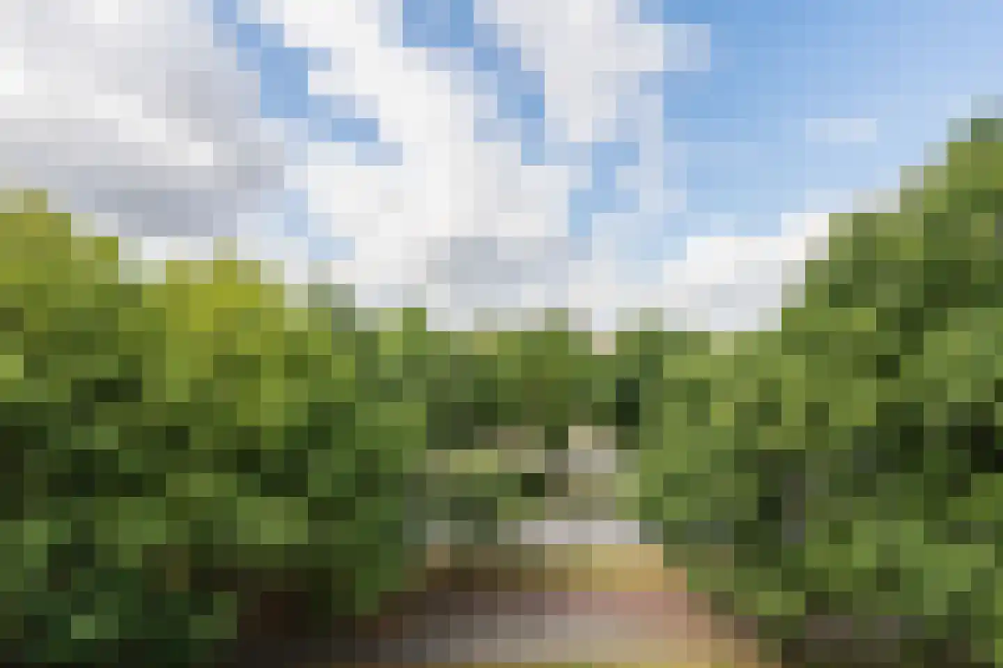 Amundsenlaan 205 Eindhoven thumbnail 10