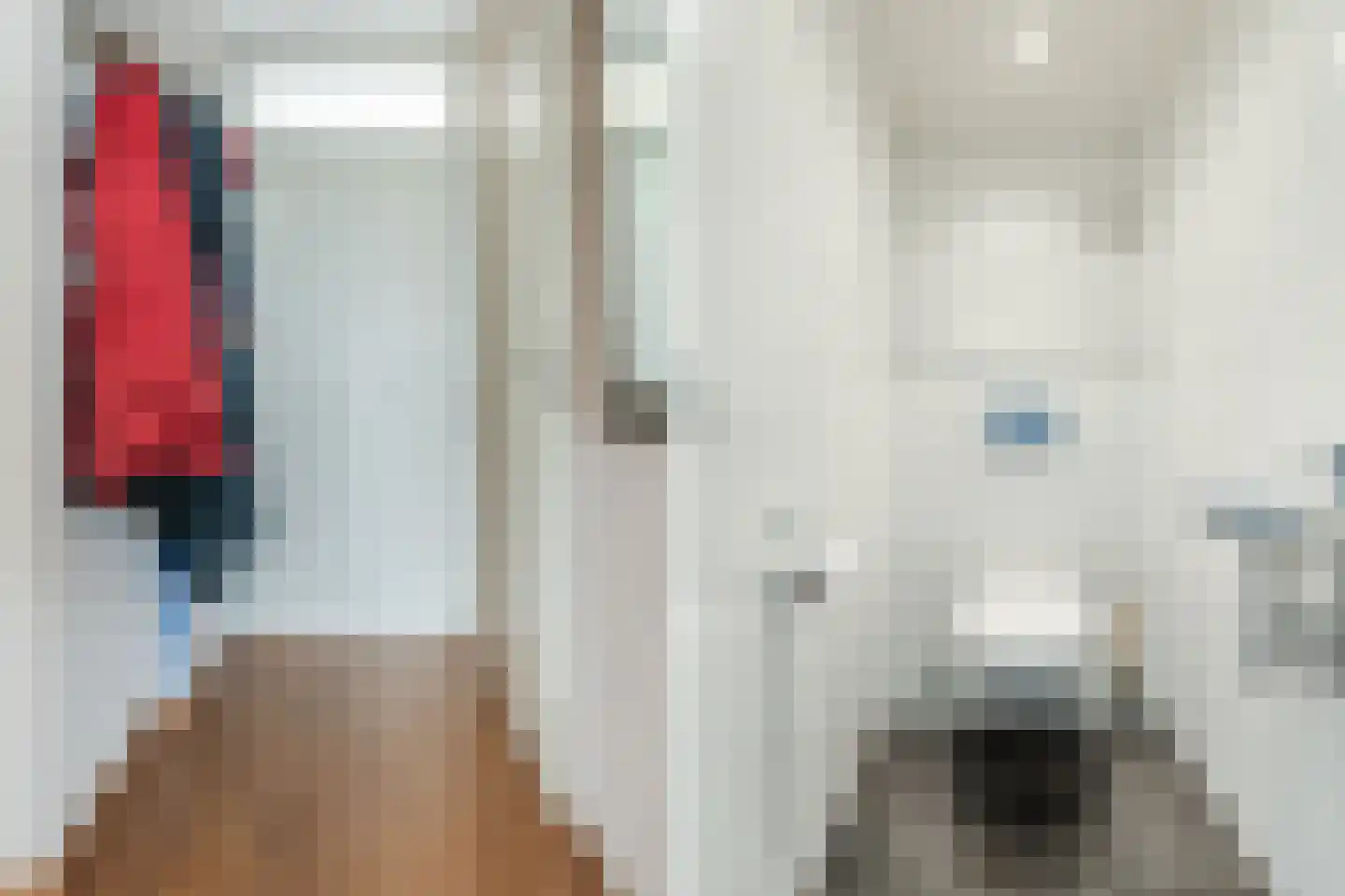Amundsenlaan 205 Eindhoven thumbnail 16