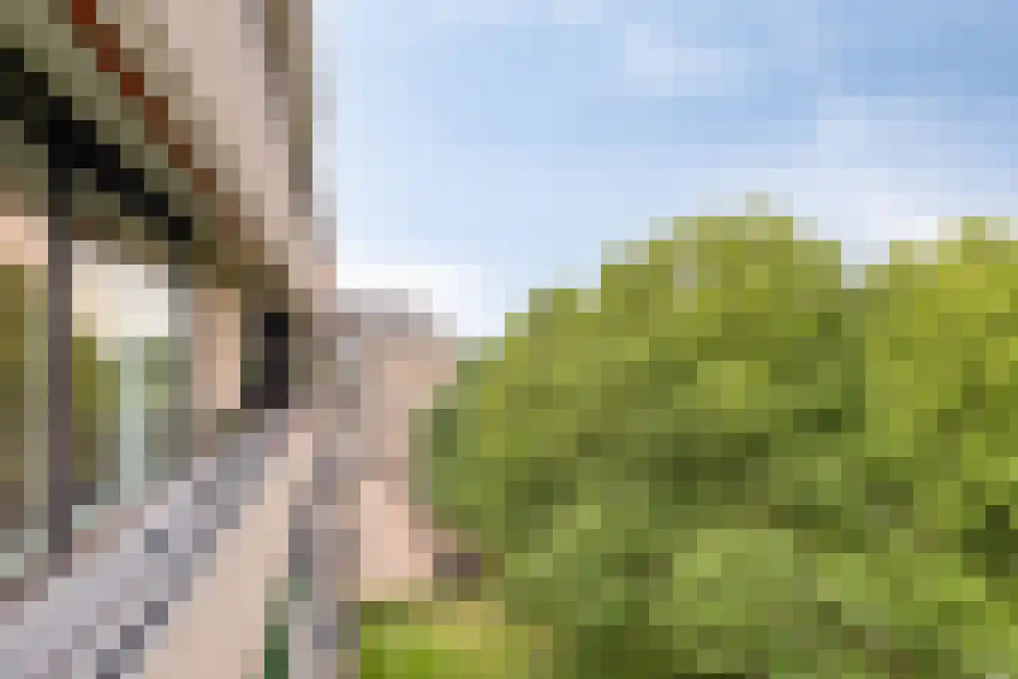 Amundsenlaan 205 Eindhoven thumbnail 18