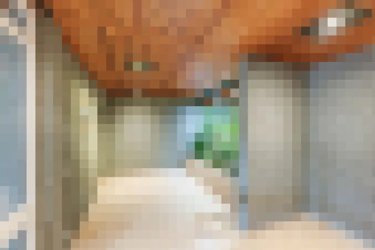 Amundsenlaan 205 Eindhoven thumbnail 19