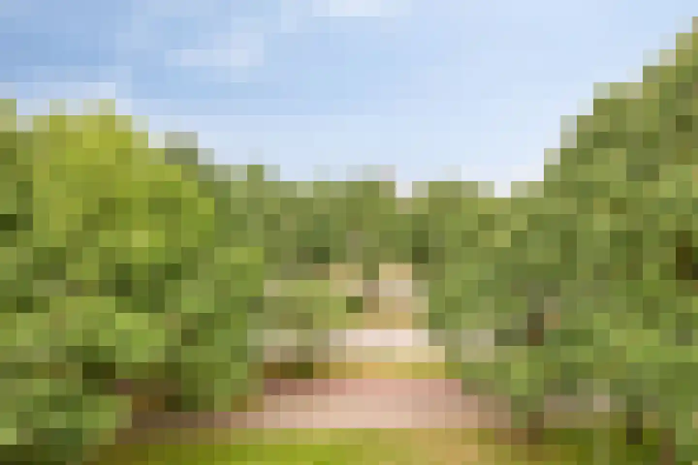 Amundsenlaan 205 Eindhoven thumbnail 19