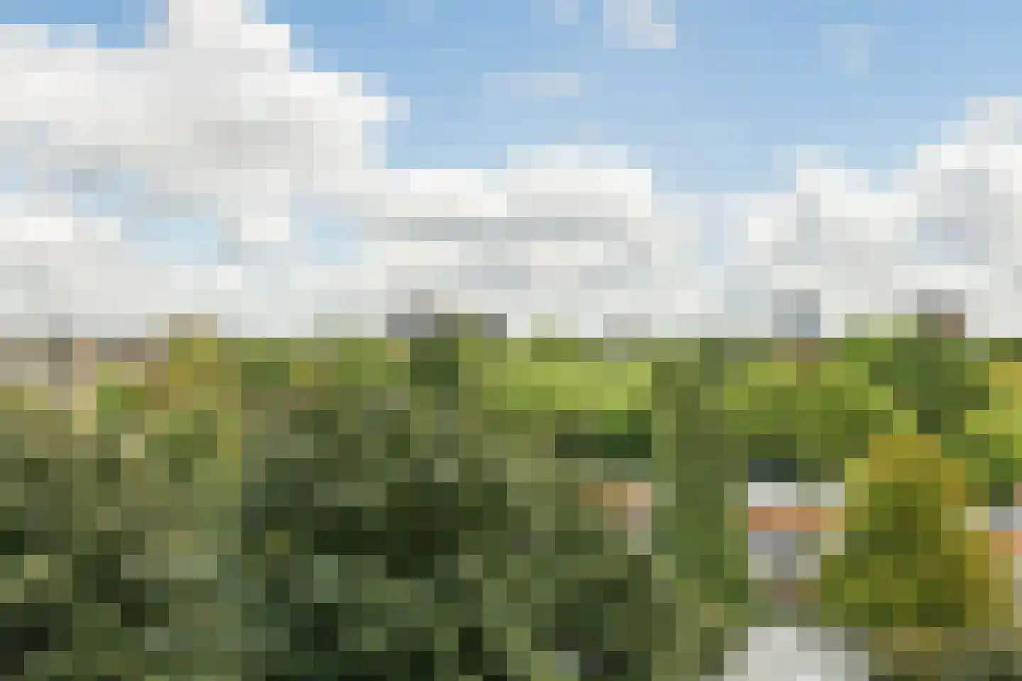 Amundsenlaan 205 Eindhoven thumbnail 20