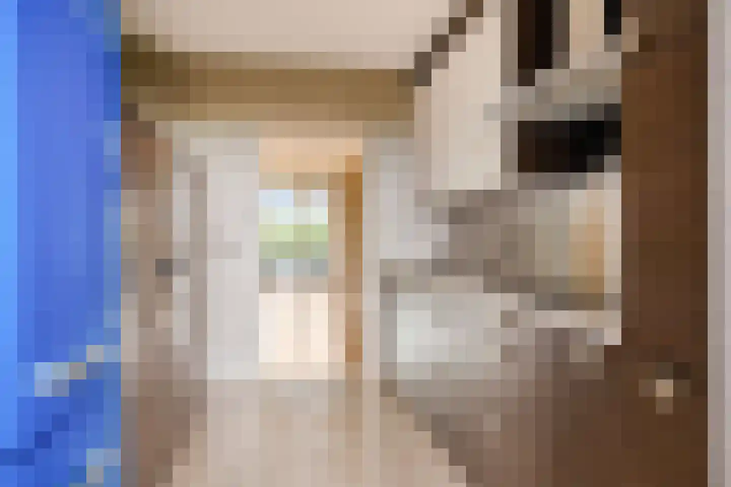 Amundsenlaan 205 Eindhoven thumbnail 21