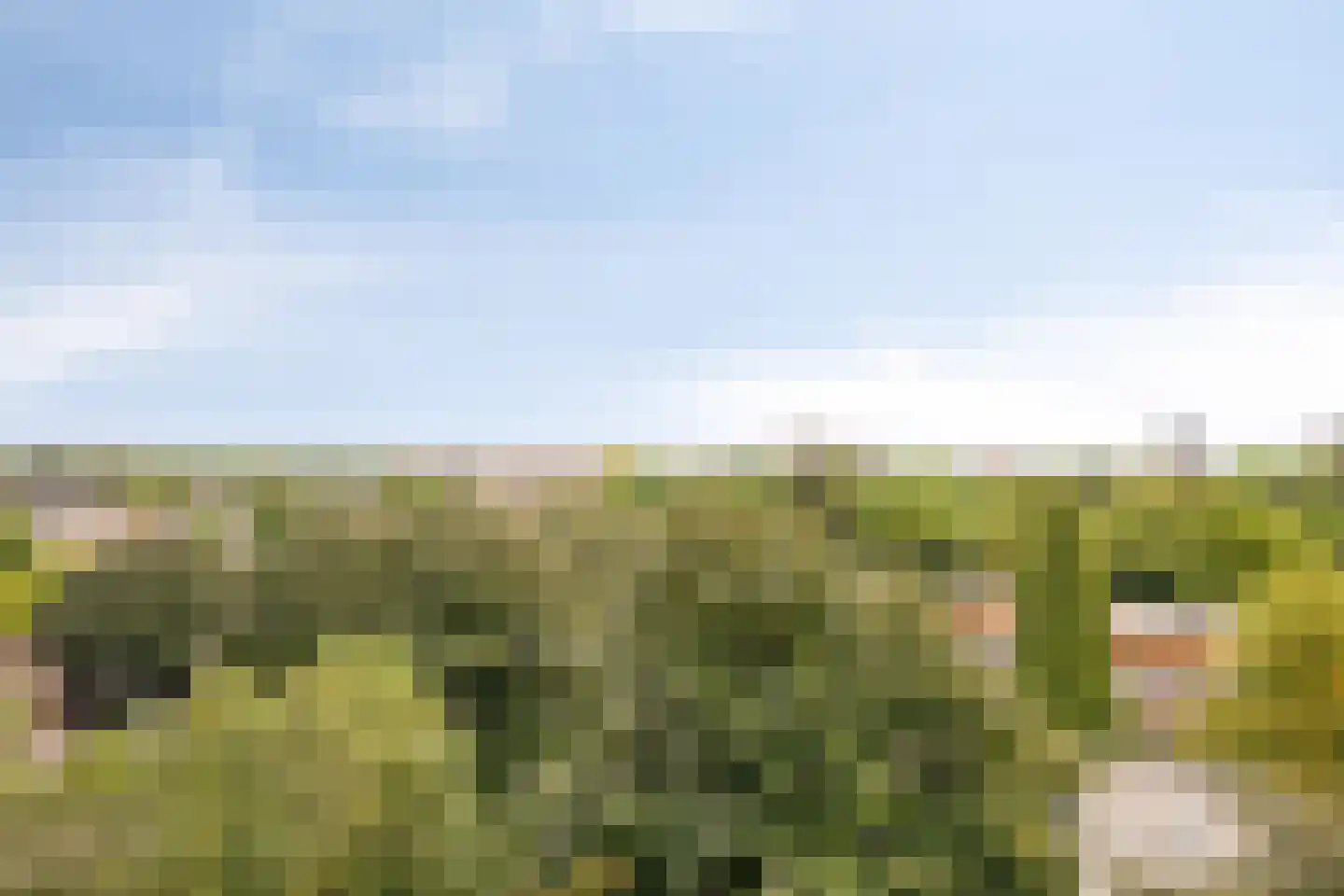 Amundsenlaan 205 Eindhoven thumbnail 24