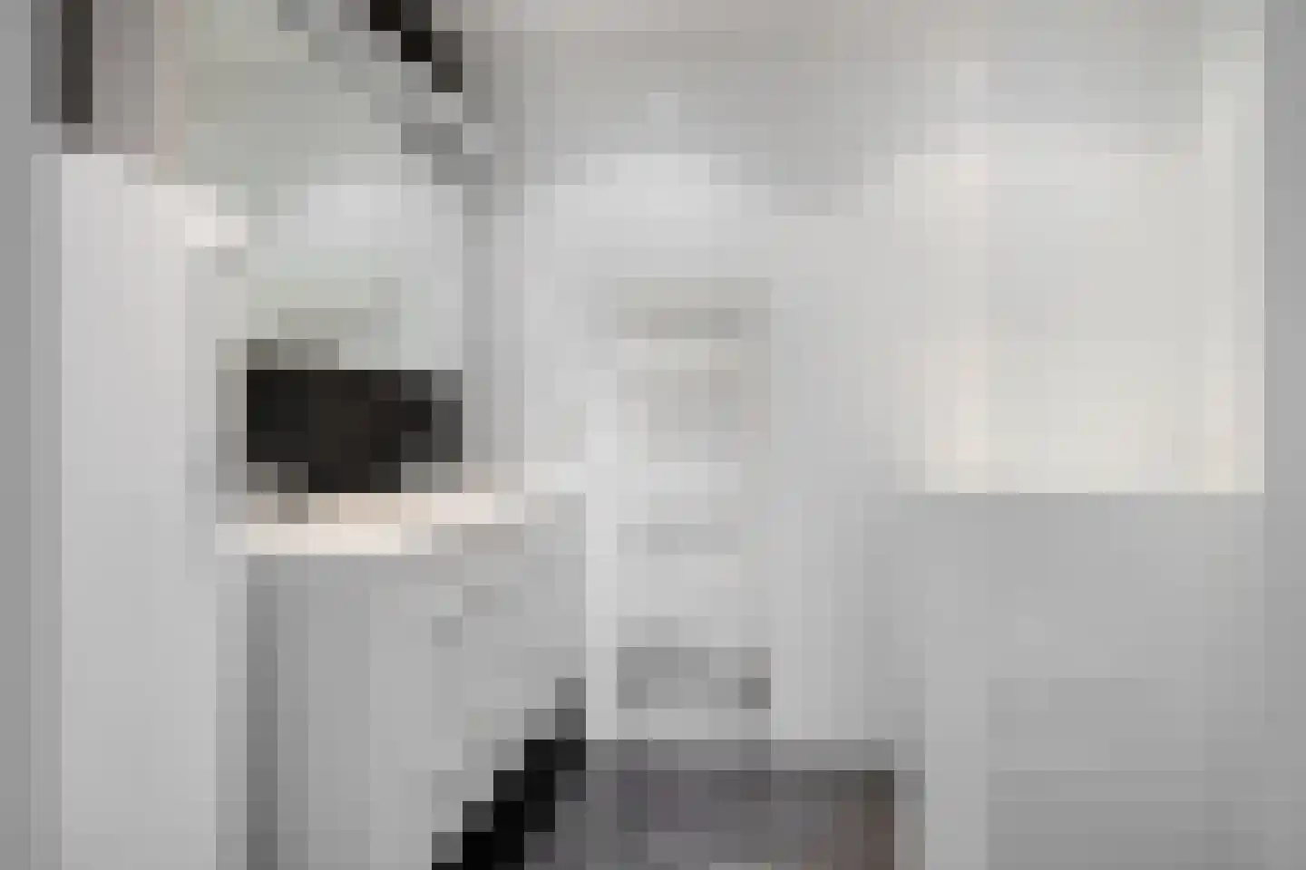 Amundsenlaan 205 Eindhoven thumbnail 30
