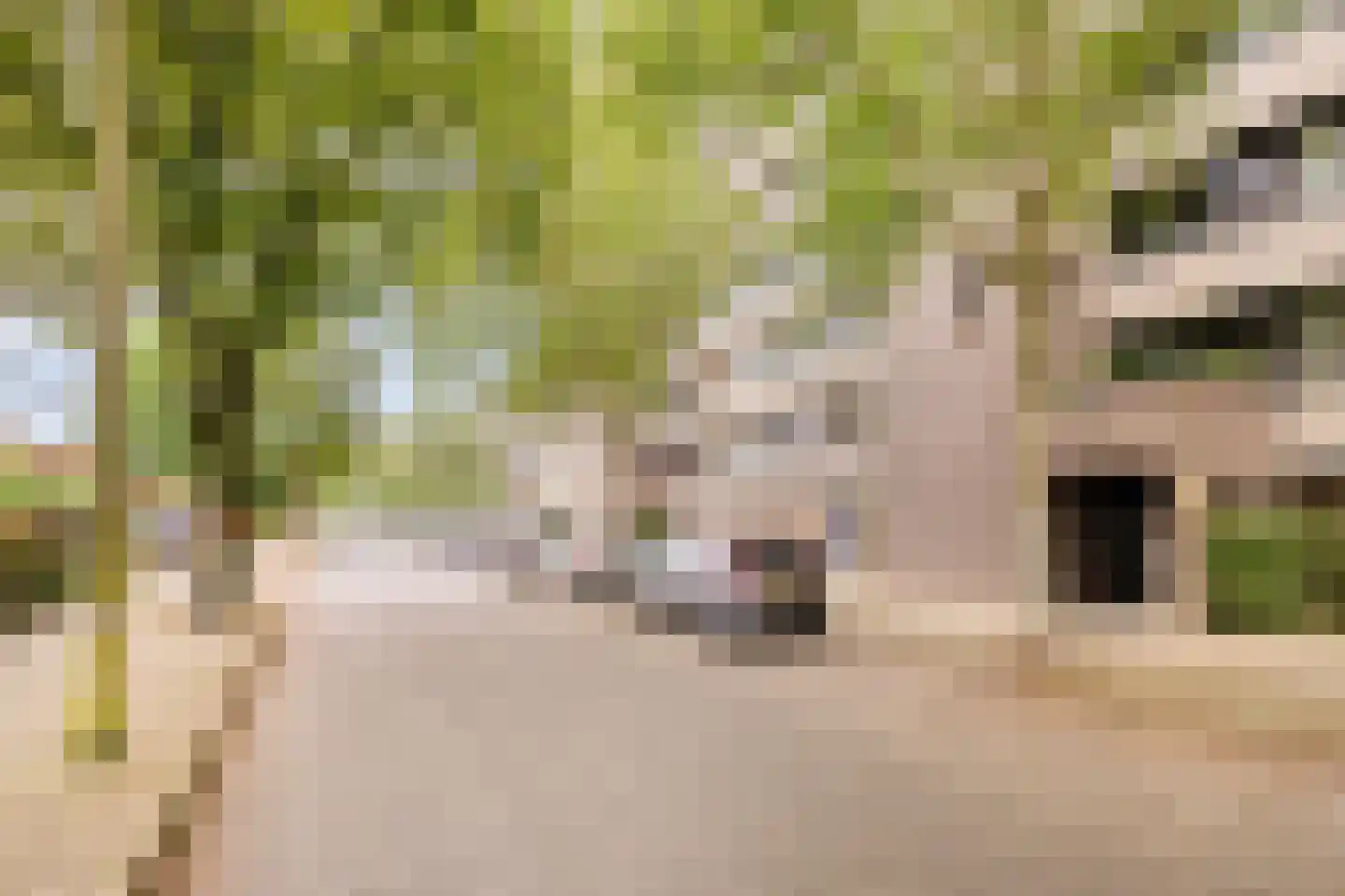 Amundsenlaan 205 Eindhoven thumbnail 6
