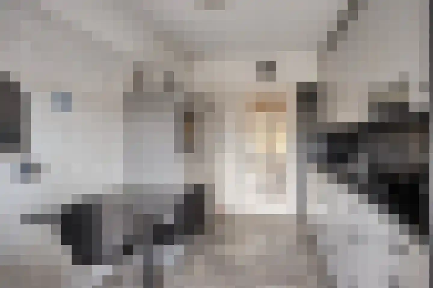 Amundsenlaan 257 Eindhoven thumbnail 23
