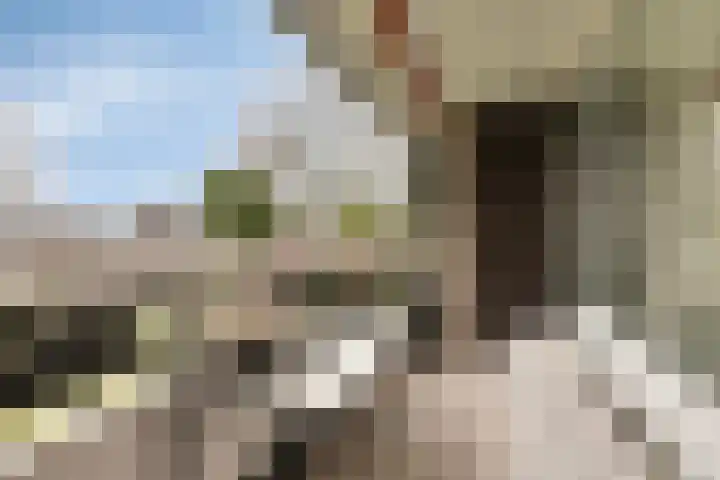 Amundsenlaan 279 Eindhoven thumbnail 16