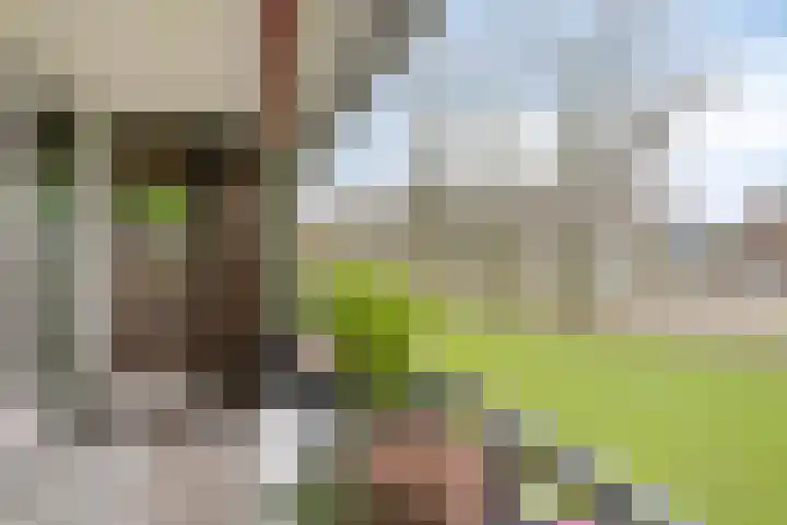 Amundsenlaan 279 Eindhoven thumbnail 17