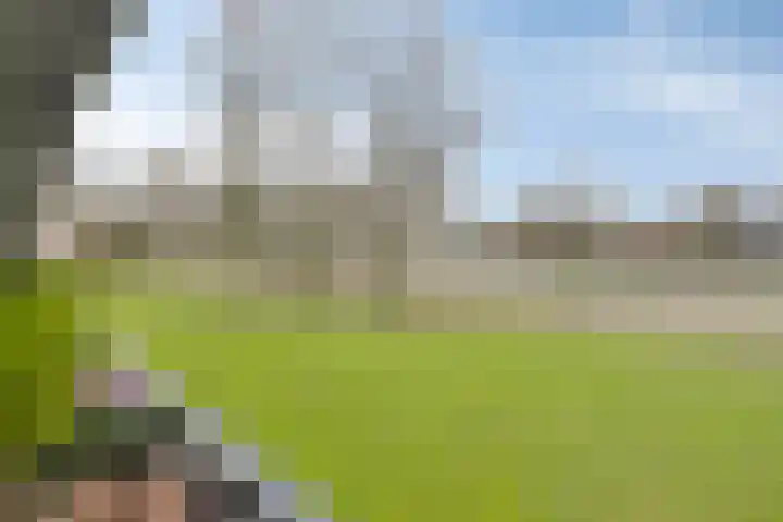 Amundsenlaan 279 Eindhoven thumbnail 18