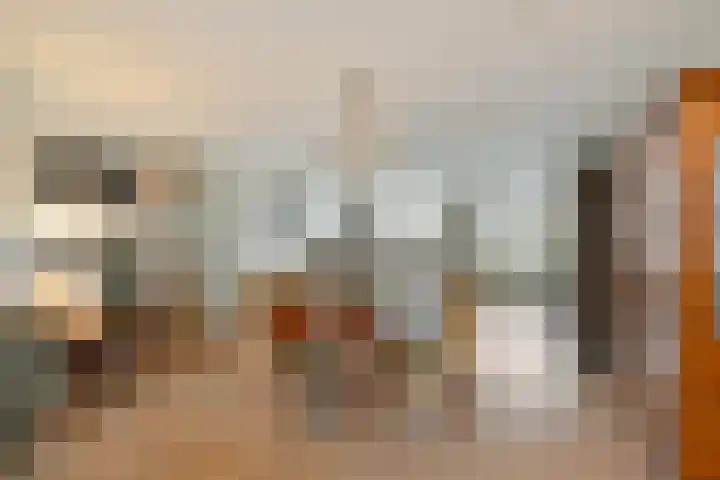 Amundsenlaan 279 Eindhoven thumbnail 19