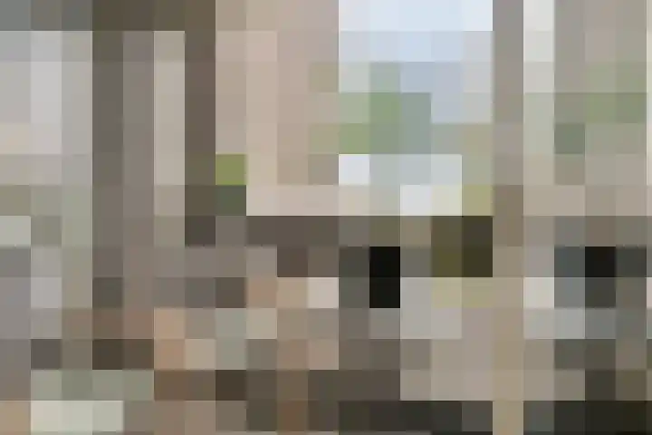 Amundsenlaan 279 Eindhoven thumbnail 27