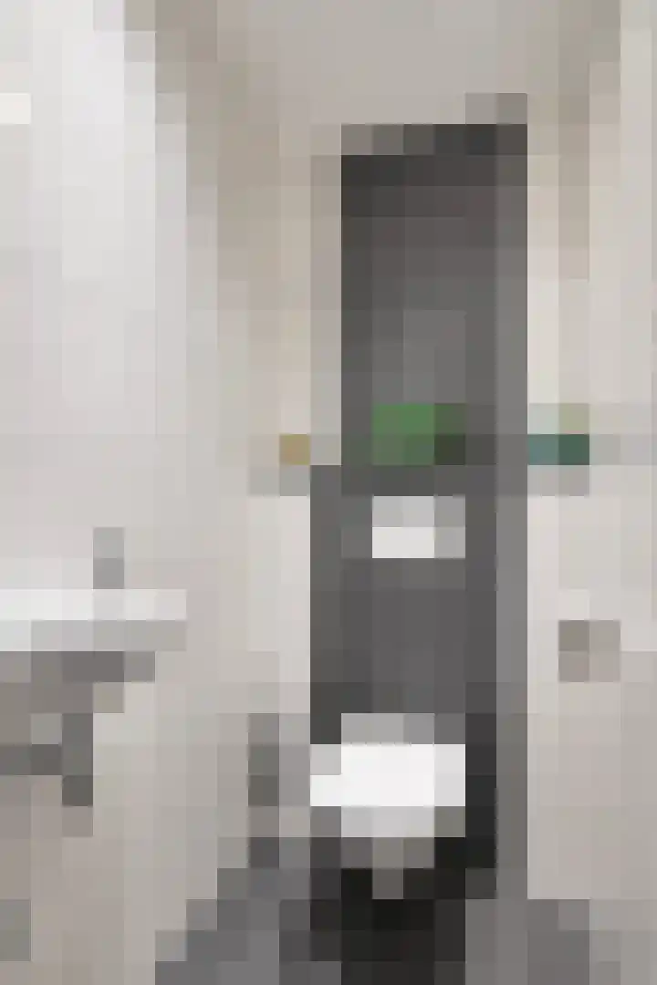 Amundsenlaan 279 Eindhoven thumbnail 30