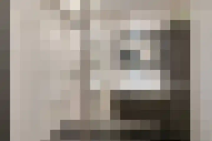 Amundsenlaan 279 Eindhoven thumbnail 35