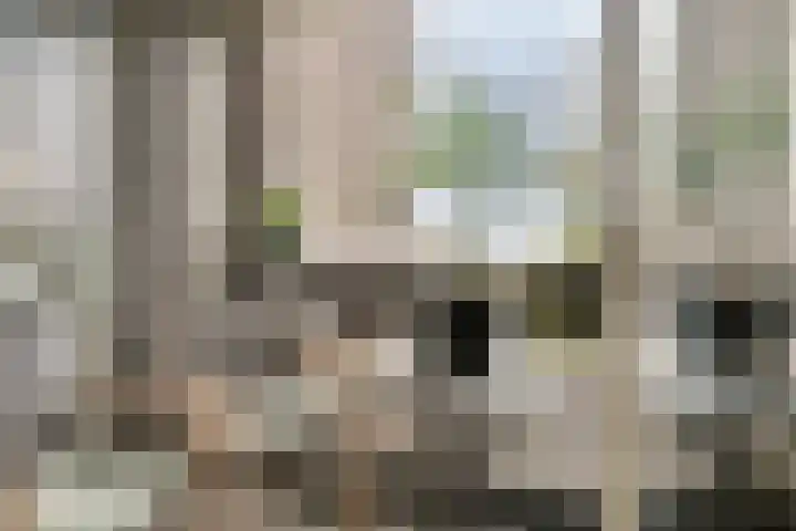 Amundsenlaan 279 Eindhoven thumbnail 4