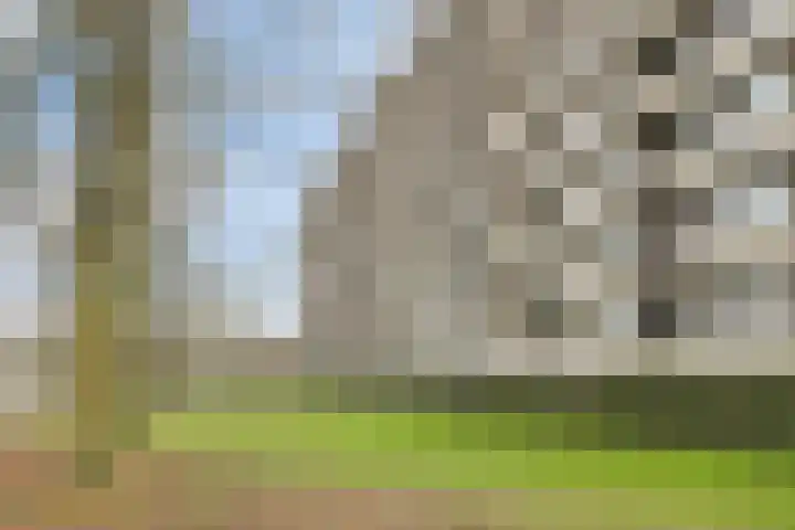 Amundsenlaan 279 Eindhoven thumbnail 42