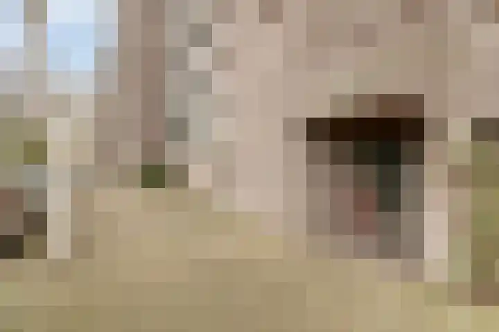 Amundsenlaan 279 Eindhoven thumbnail 5