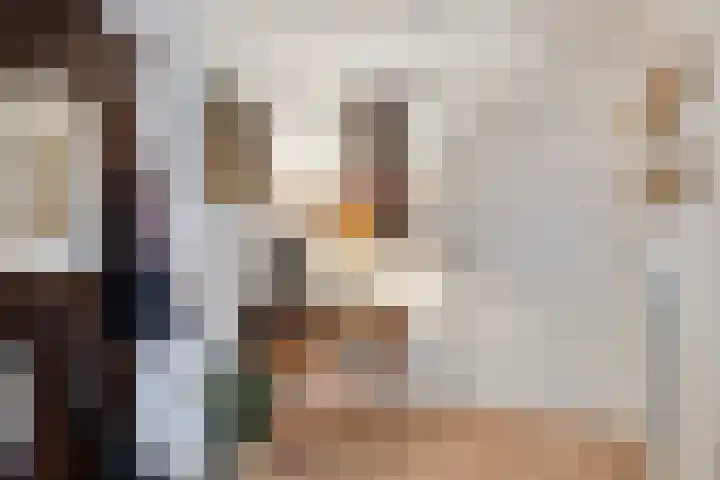 Amundsenlaan 279 Eindhoven thumbnail 8