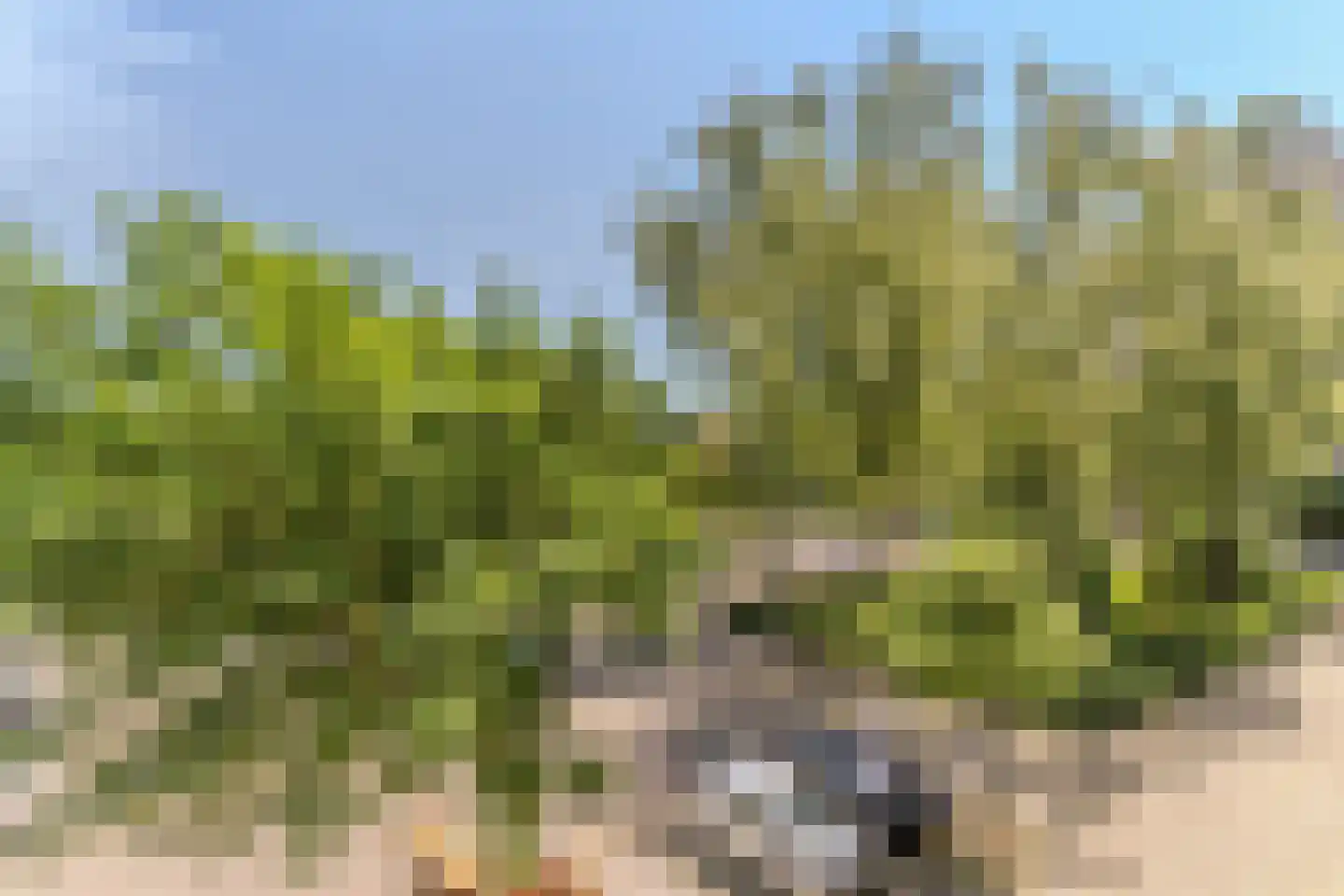 Amundsenlaan 33 Eindhoven thumbnail 12