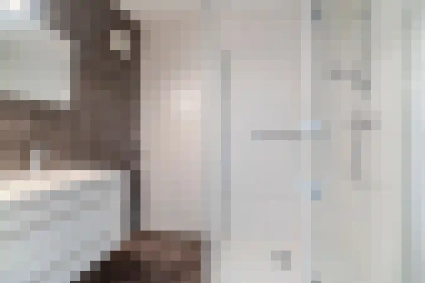 Amundsenlaan 33 Eindhoven thumbnail 22