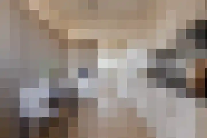 Amundsenlaan 43 Eindhoven thumbnail 20
