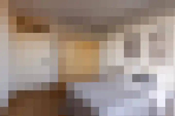 Amundsenlaan 43 Eindhoven thumbnail 33