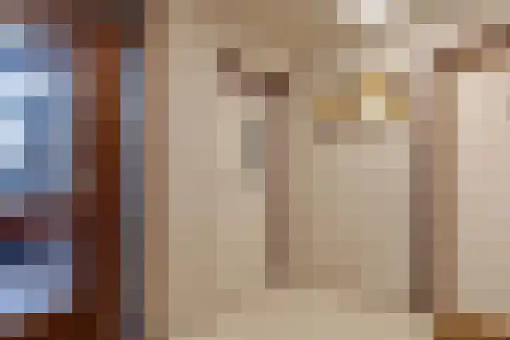 Amundsenlaan 43 Eindhoven thumbnail 7