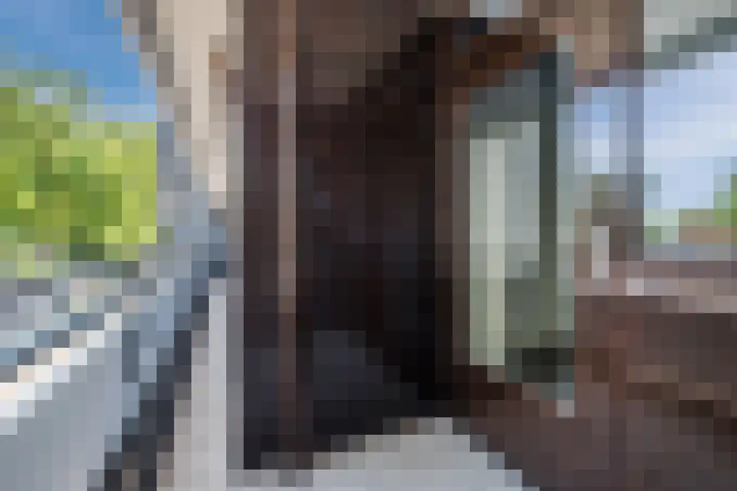 Amundsenlaan 61 Eindhoven thumbnail 29