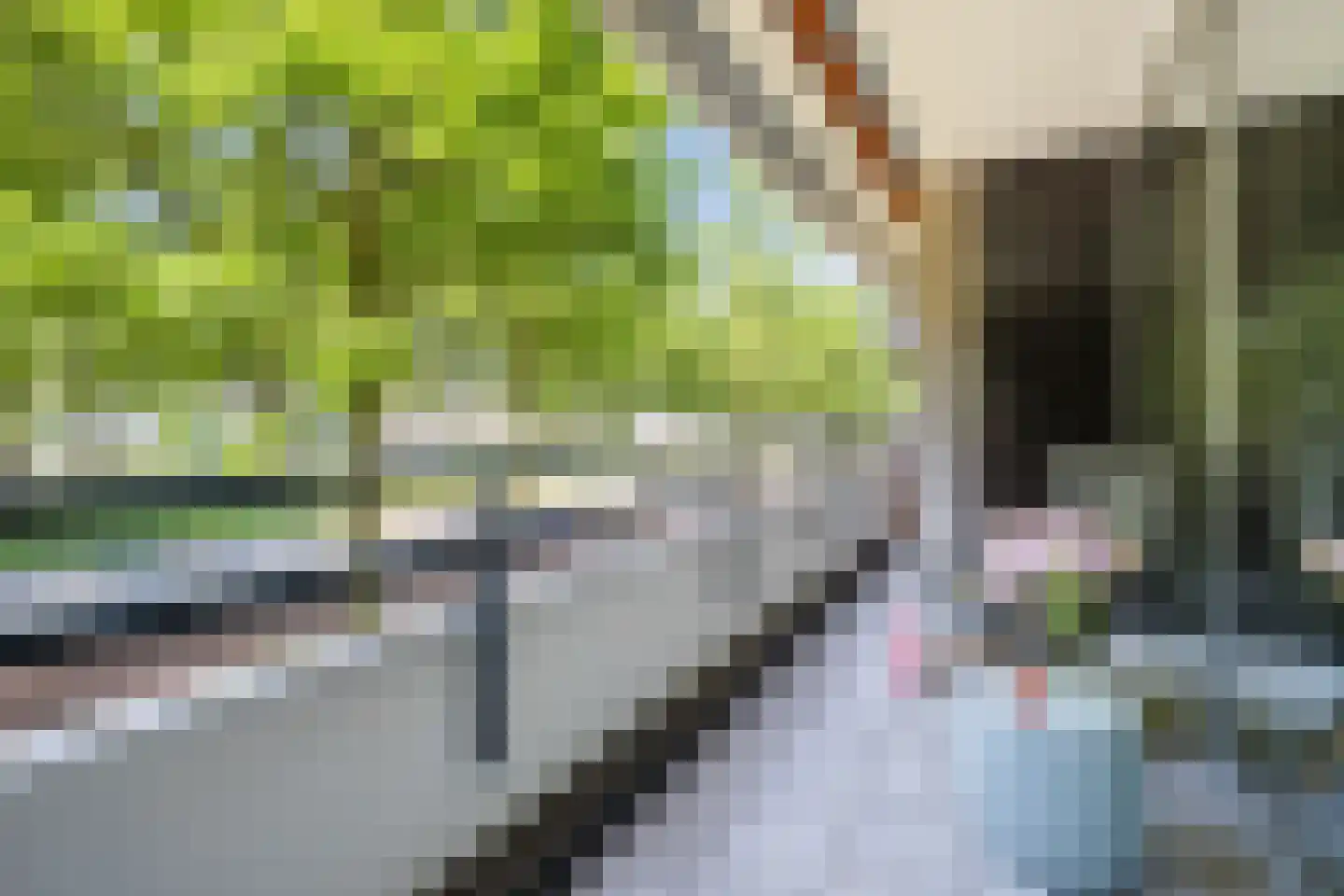 Amundsenlaan 61 Eindhoven thumbnail 30
