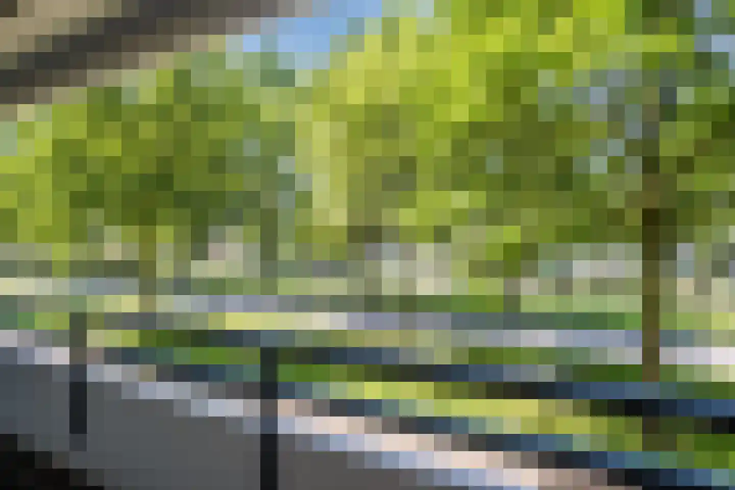 Amundsenlaan 61 Eindhoven thumbnail 31