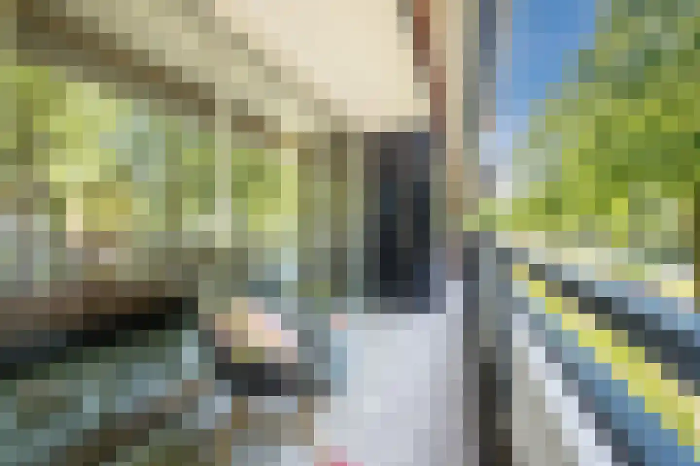 Amundsenlaan 61 Eindhoven thumbnail 32