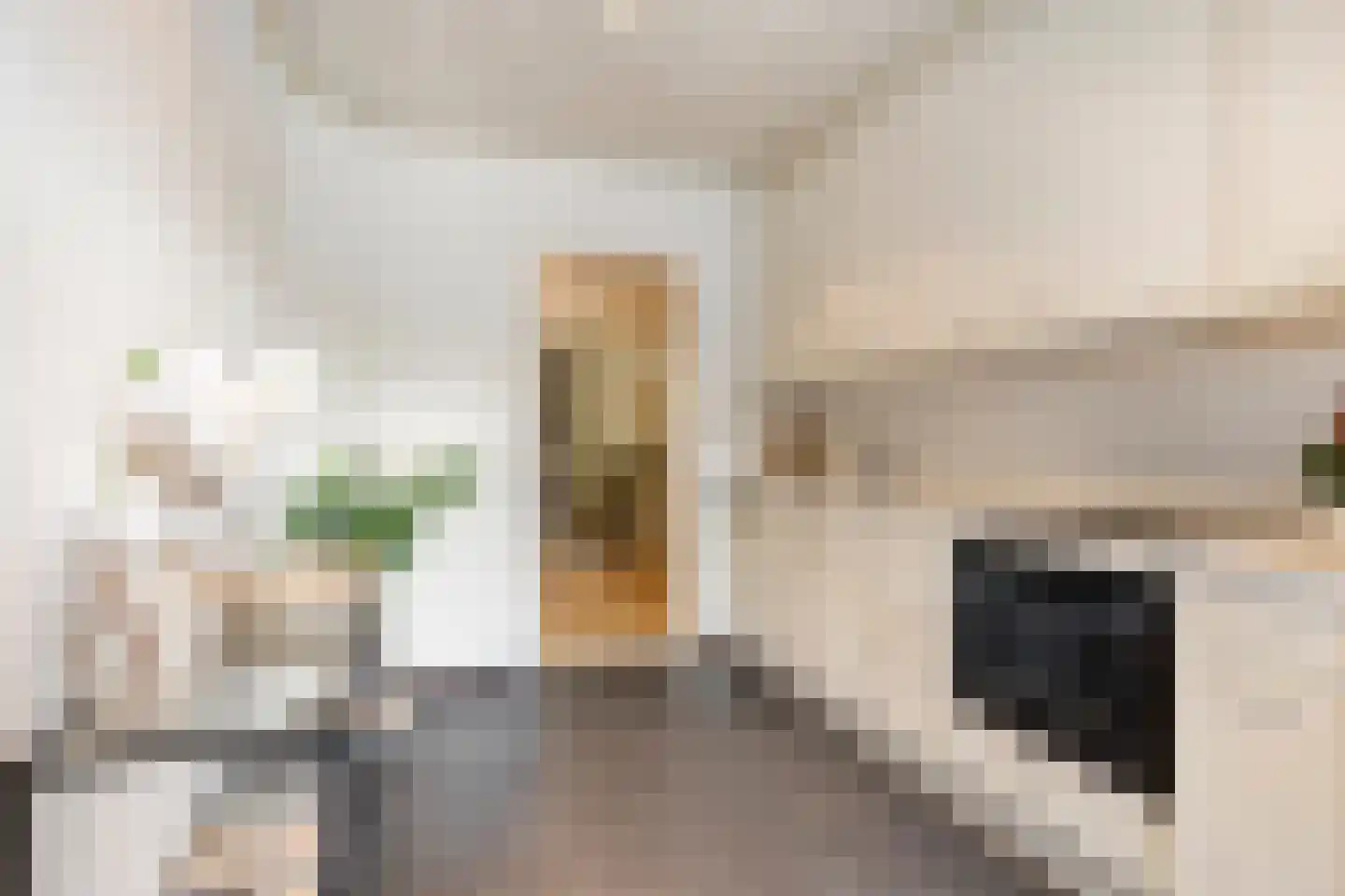 Amundsenlaan 63 Eindhoven thumbnail 24