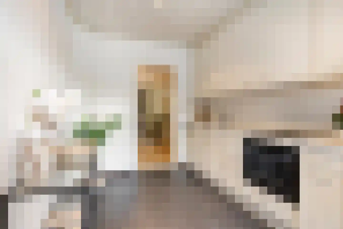 Amundsenlaan 63 Eindhoven thumbnail 4