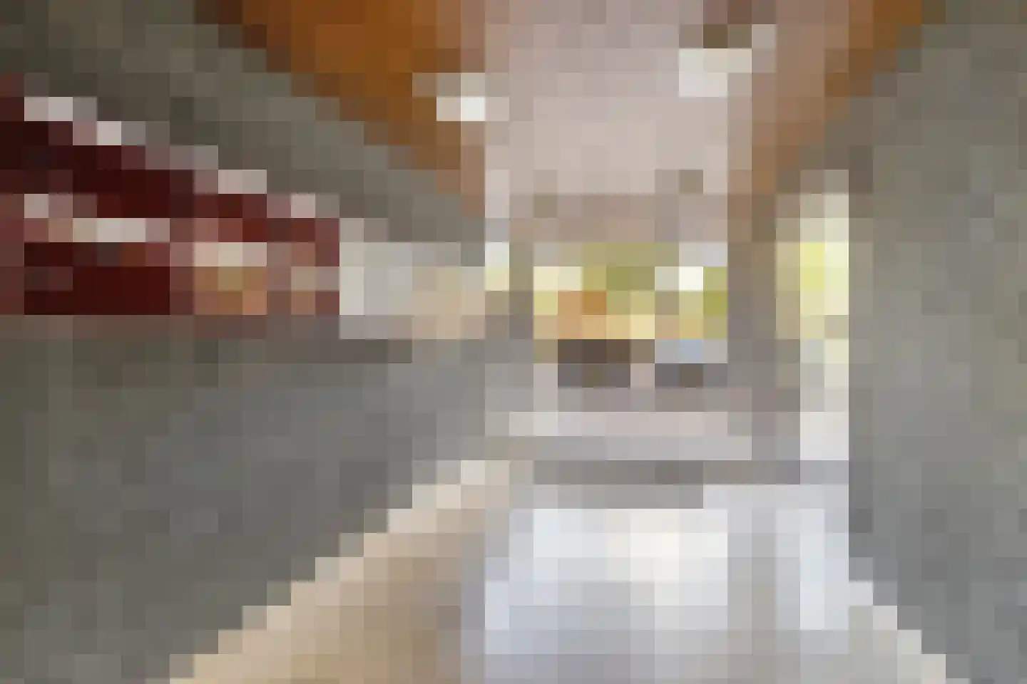 Amundsenlaan 63 Eindhoven thumbnail 6