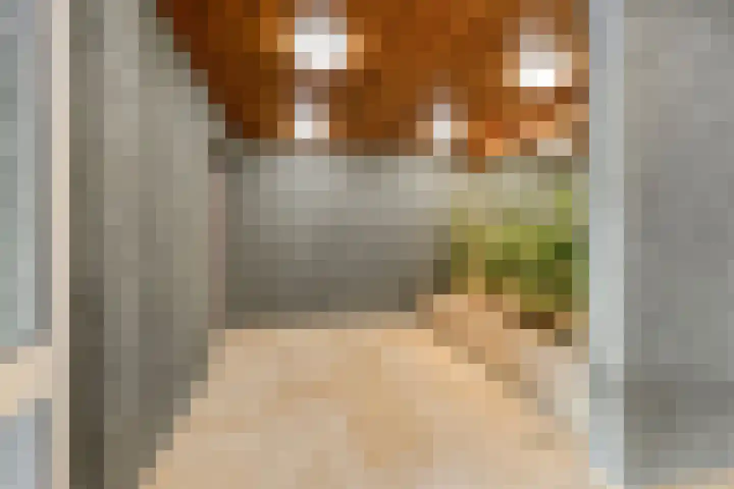 Amundsenlaan 63 Eindhoven thumbnail 7